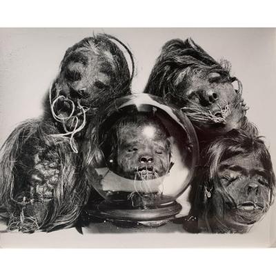 Photograph Of Tsantzas Shrunken Heads From South America, C. 1960 - Vintage Silver Print