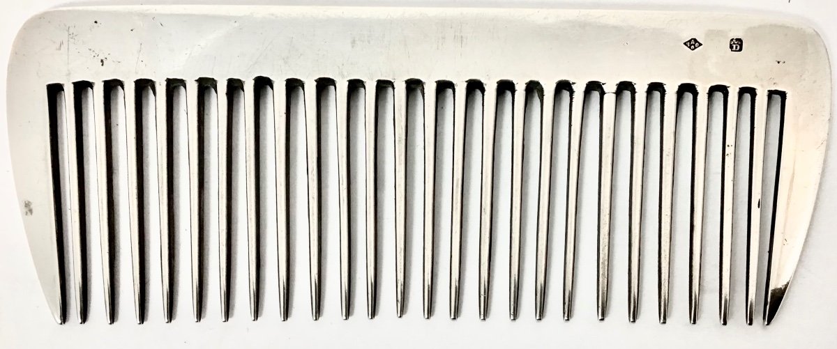 Horsehair Comb In Solid Silver, Delheid Frères Brussels -photo-3