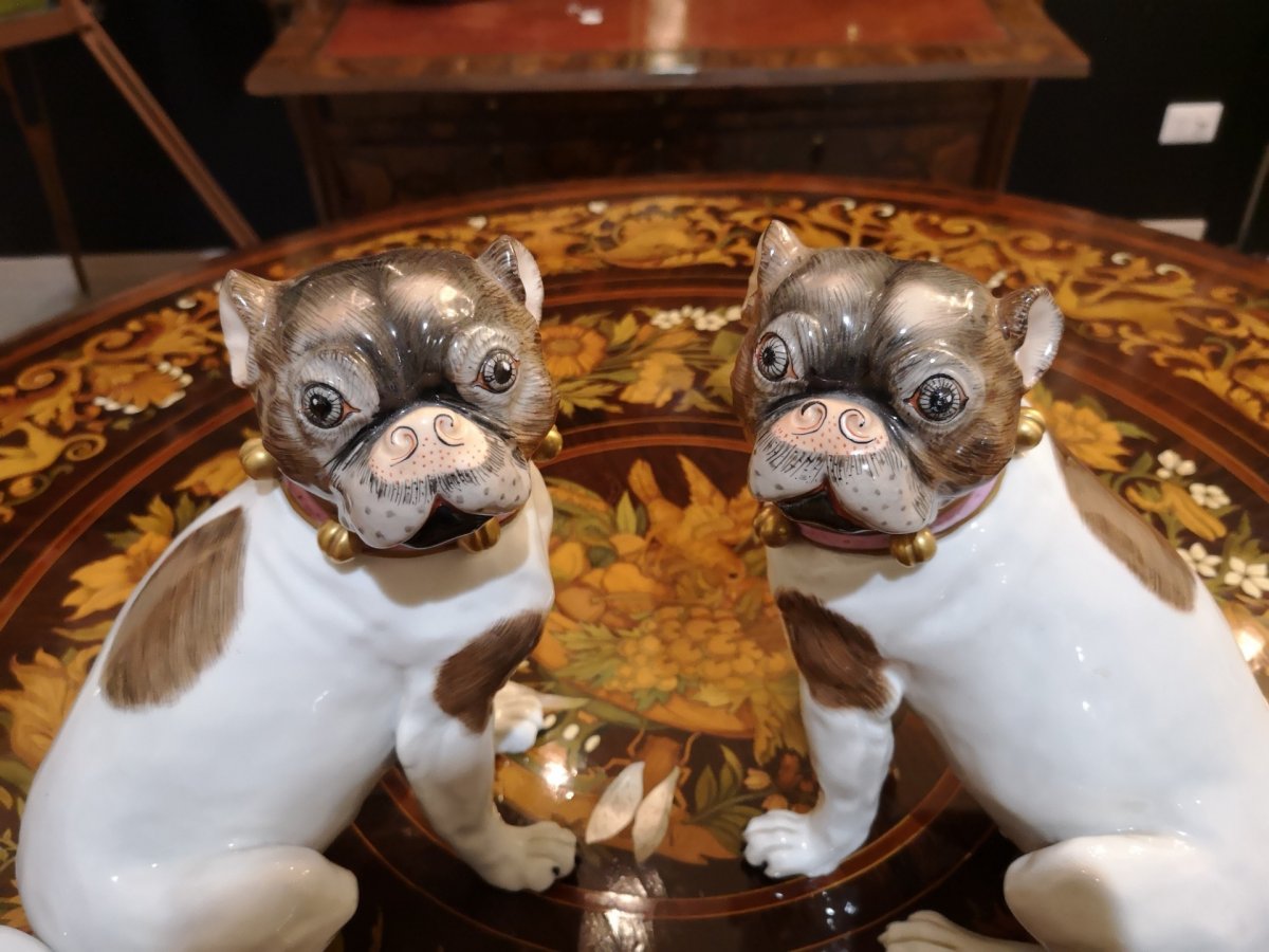 Pair Of Dresden Porcelain Dogs-photo-4