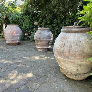 Tuscan Jars Of Various Sizes 19th Century .