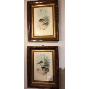 Pair Of Watercolor Lithographs With Original Frames From The Late 19th Century