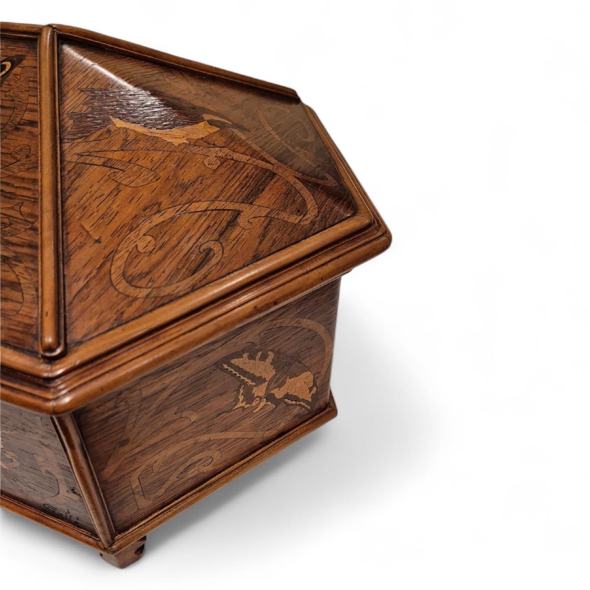 Emile Gallé (1846-1904), Marquetry Casket, Circa 1890-photo-2