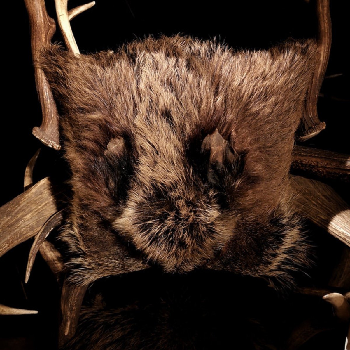 Deer And Elk Antler Armchair-photo-3