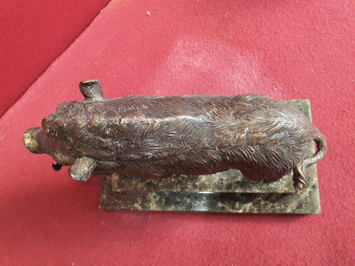 Sanglier En Bronze-photo-4