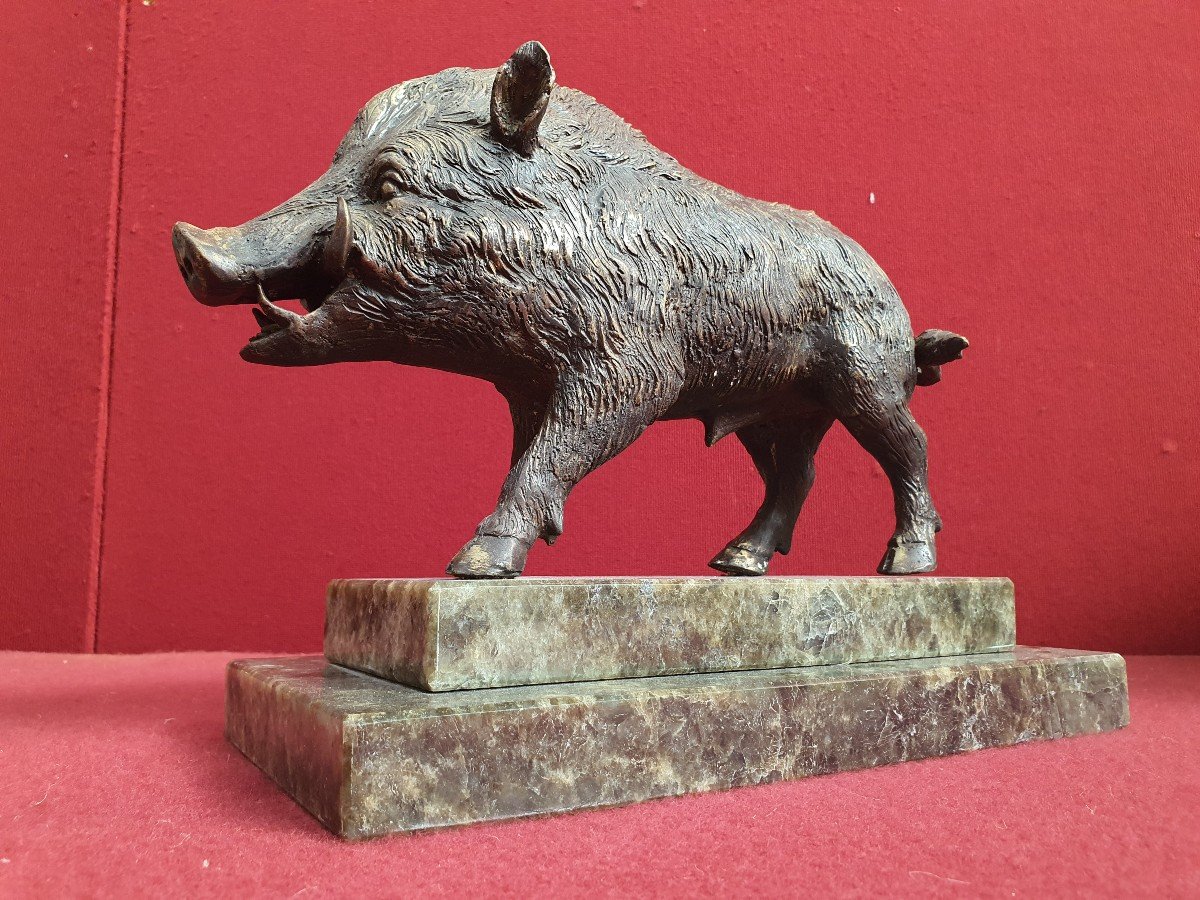 Bronze Boar-photo-1