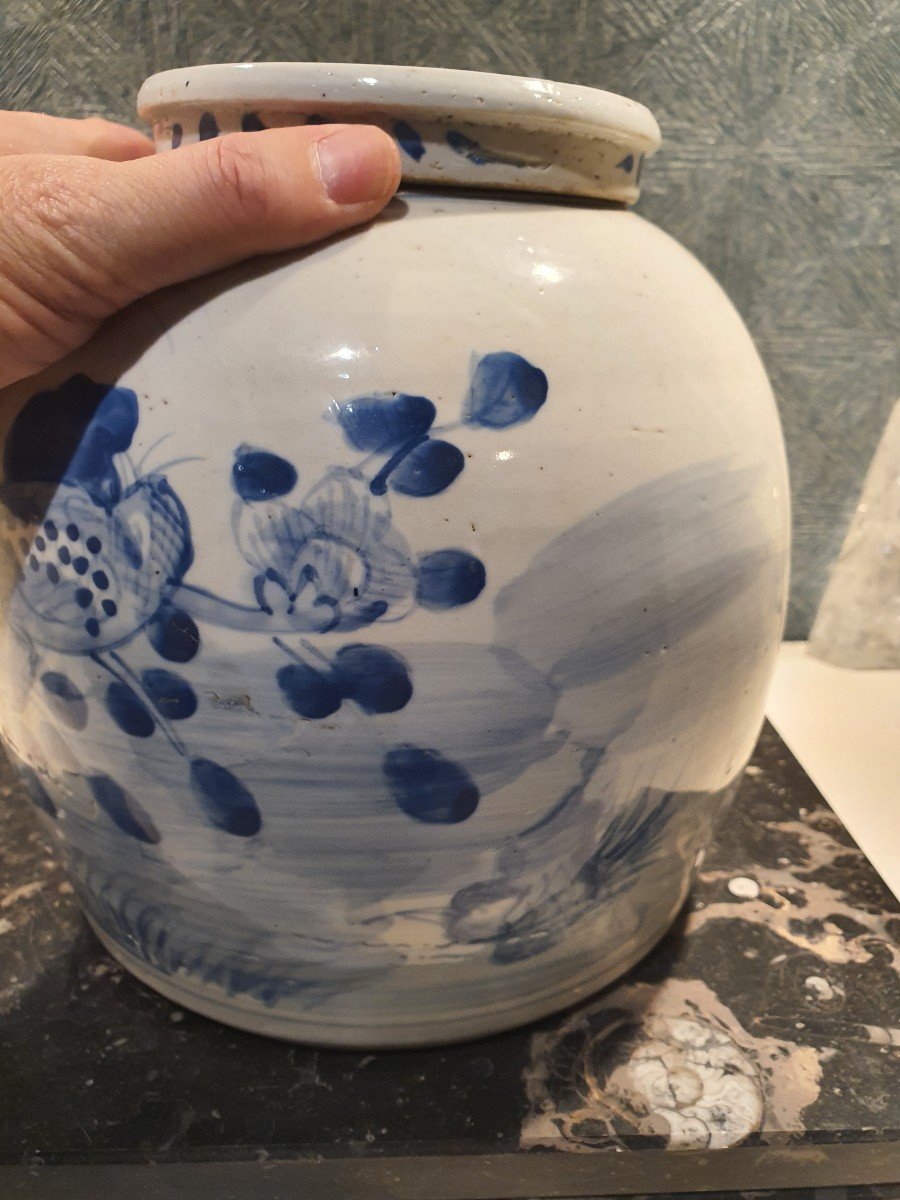 Chinese Porcelain 1-photo-5