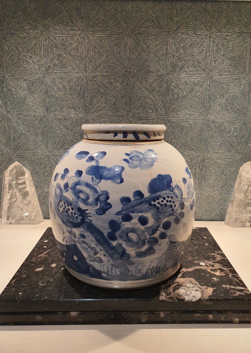 Chinese Porcelain 1