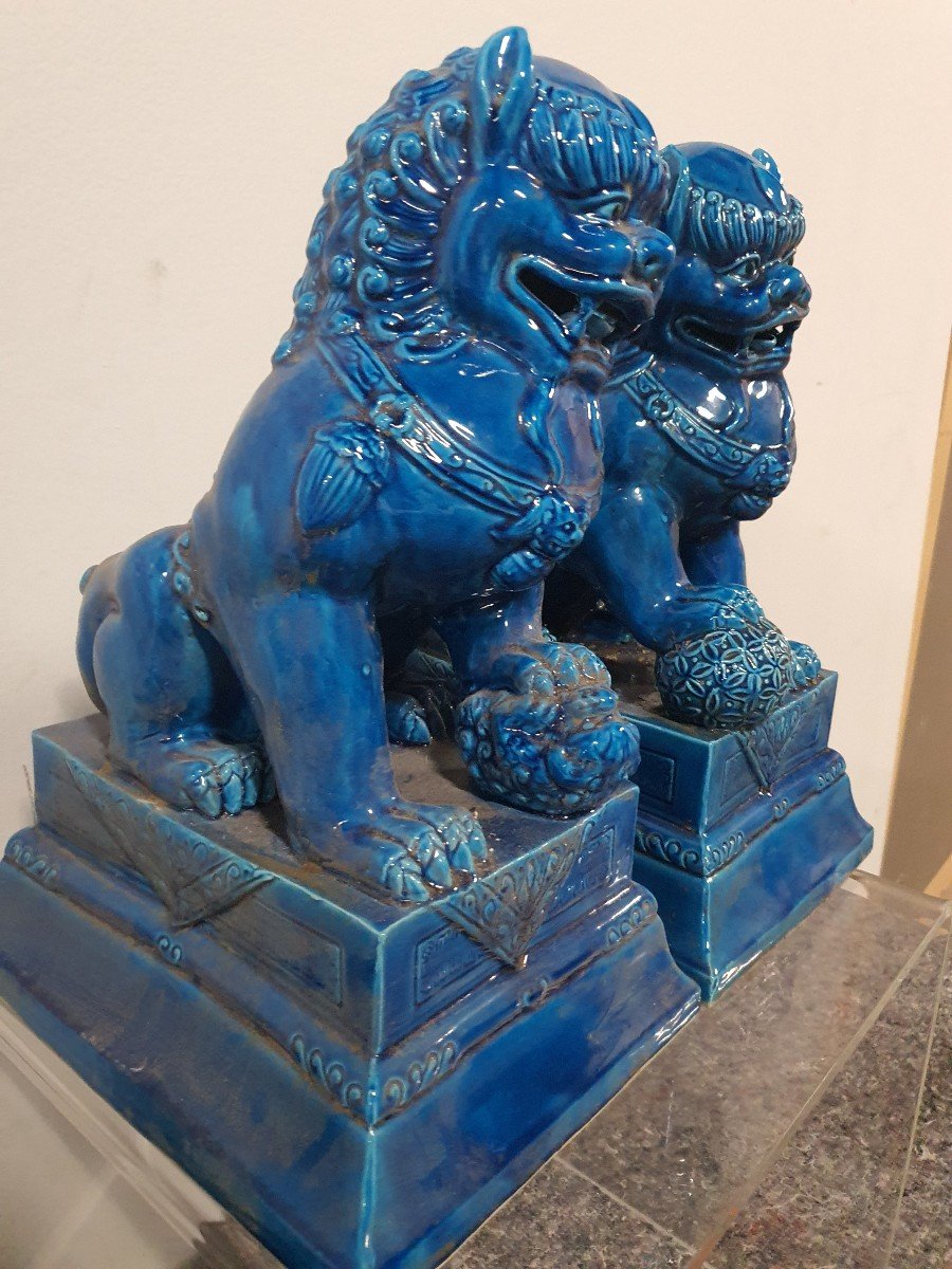 Paires De Fo Bleue En Porcelaines De Chine -photo-2