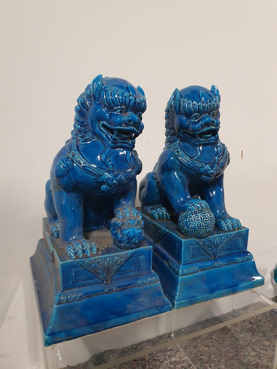 Paires De Fo Bleue En Porcelaines De Chine -photo-1