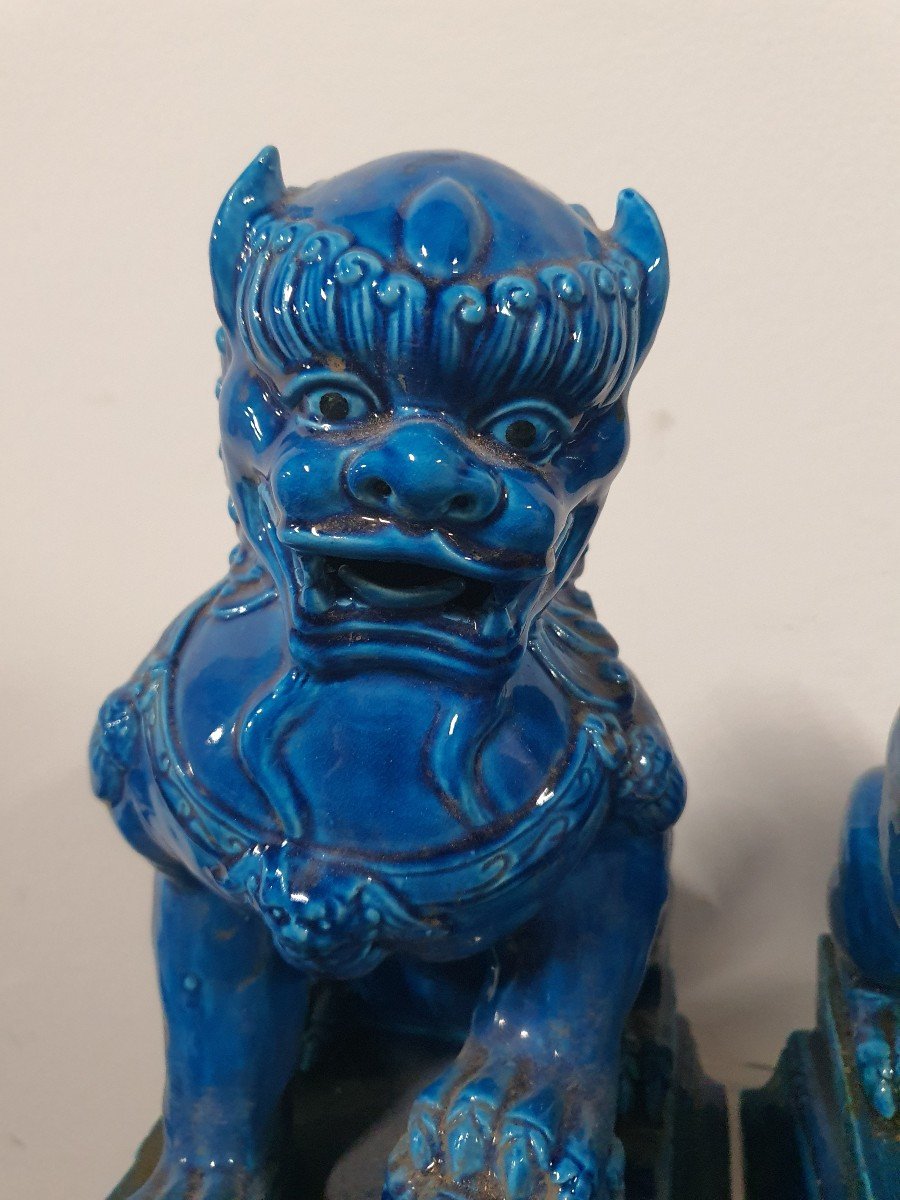 Paires De Fo Bleue En Porcelaines De Chine -photo-3