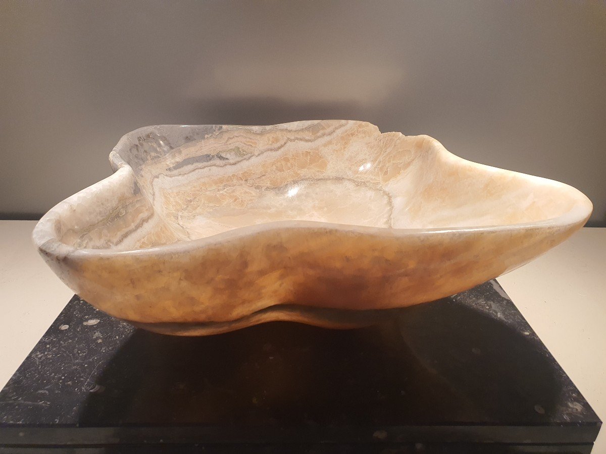 Fossil Beige/grey Dish-photo-4