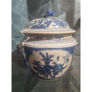 Ginger Pot China 