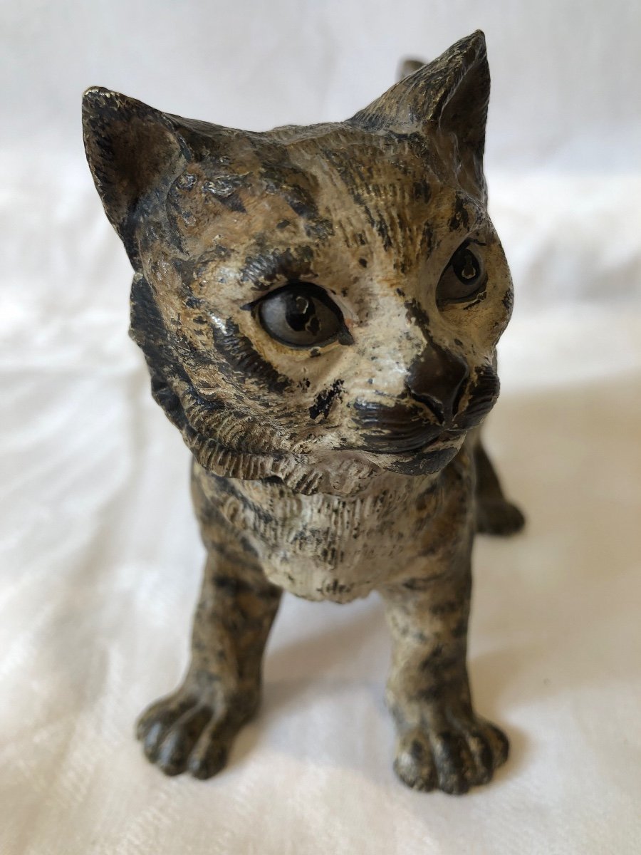 Large Vienna Bronze, Cat, 19th Century-photo-2