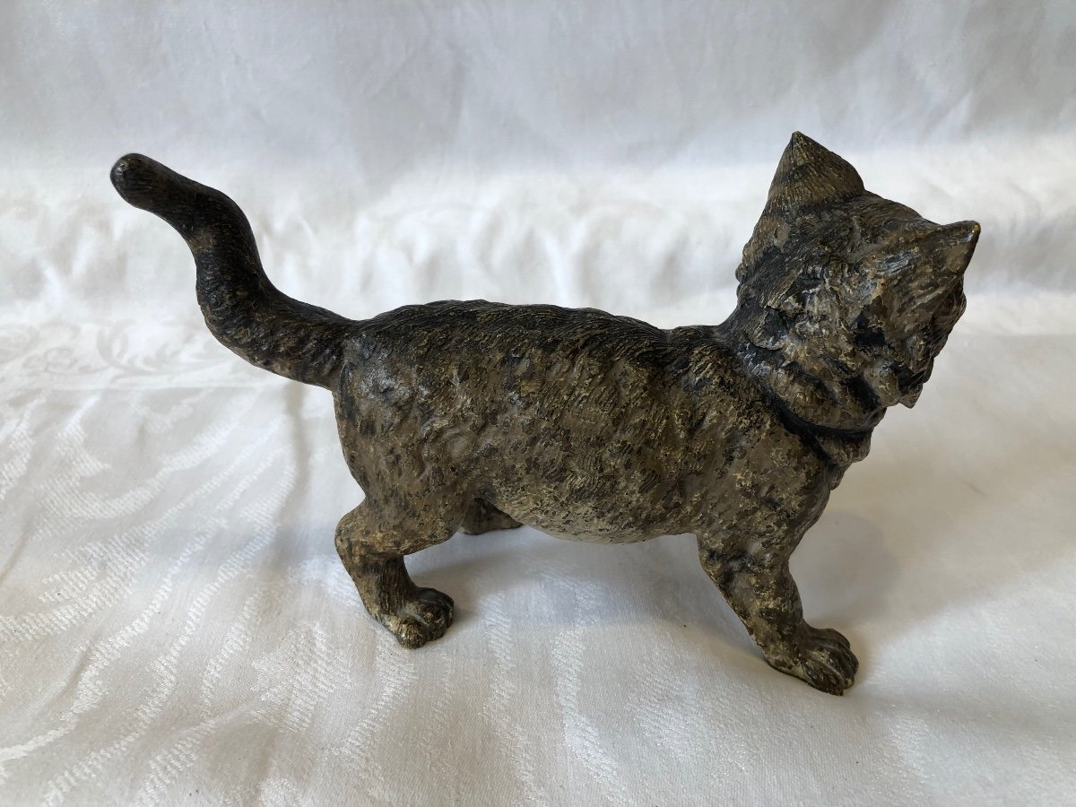 Large Vienna Bronze, Cat, 19th Century-photo-4