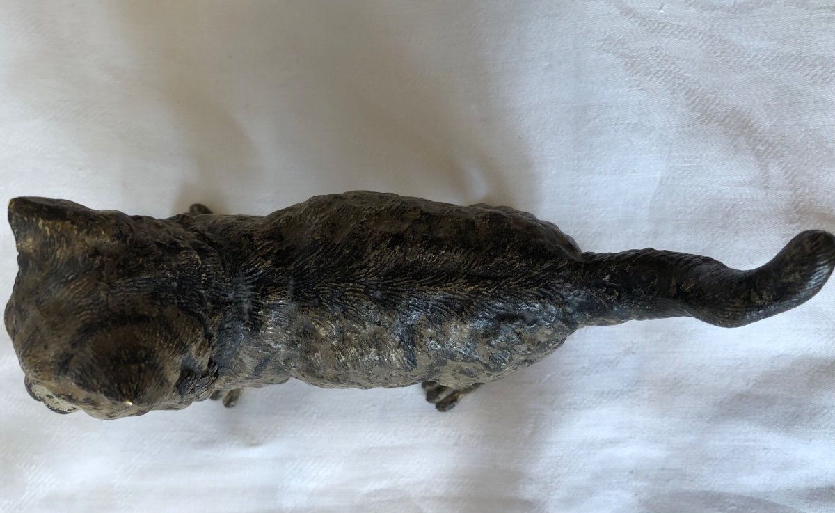 Large Vienna Bronze, Cat, 19th Century-photo-2