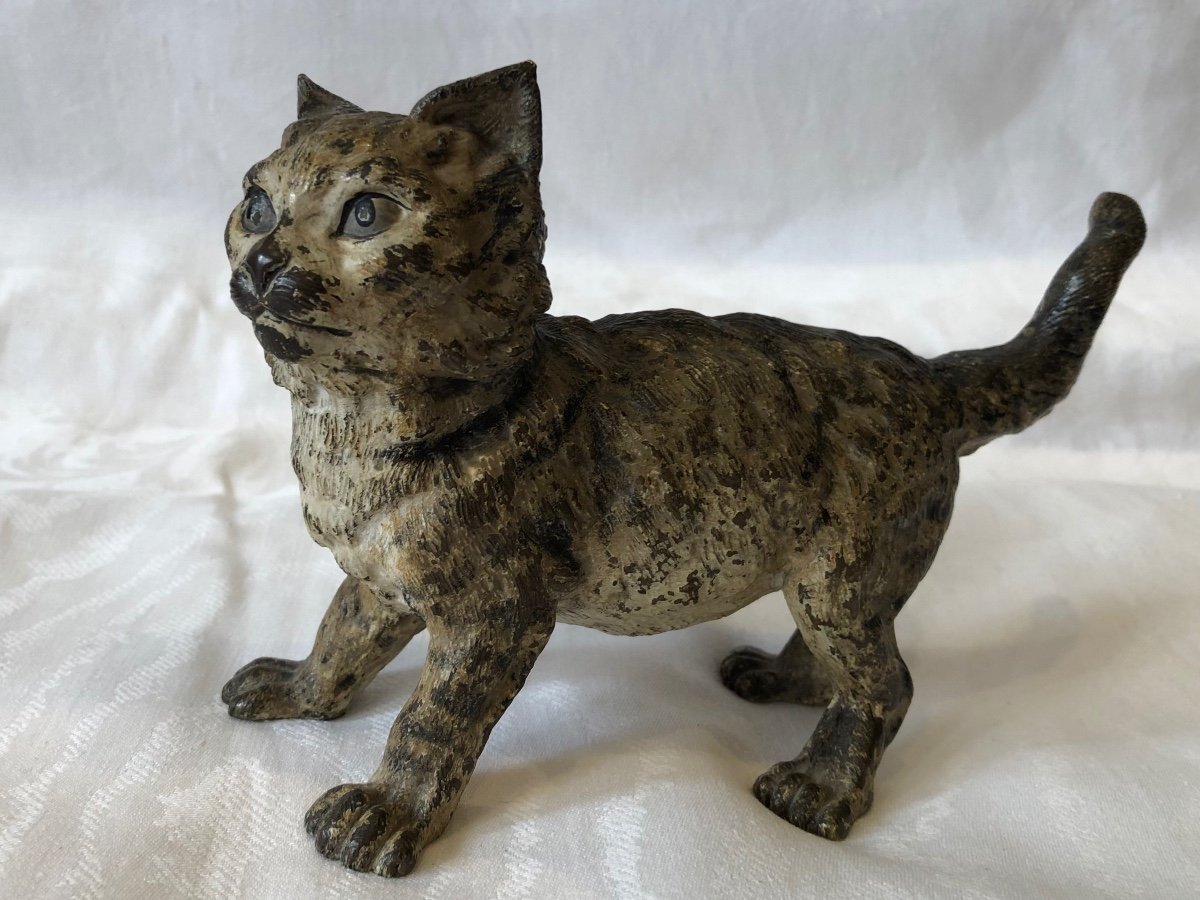 Large Vienna Bronze, Cat, 19th Century-photo-5