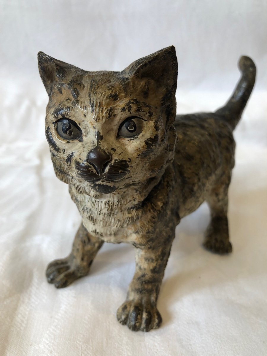 Large Vienna Bronze, Cat, 19th Century