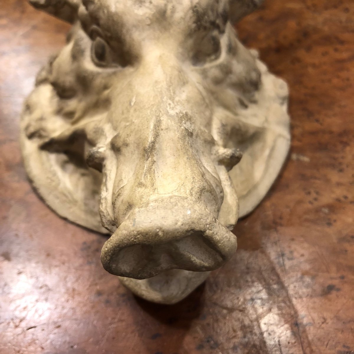 Wild Boar Hure Sculpture, Workshop Plaster, Malide, Circa 1900-photo-2