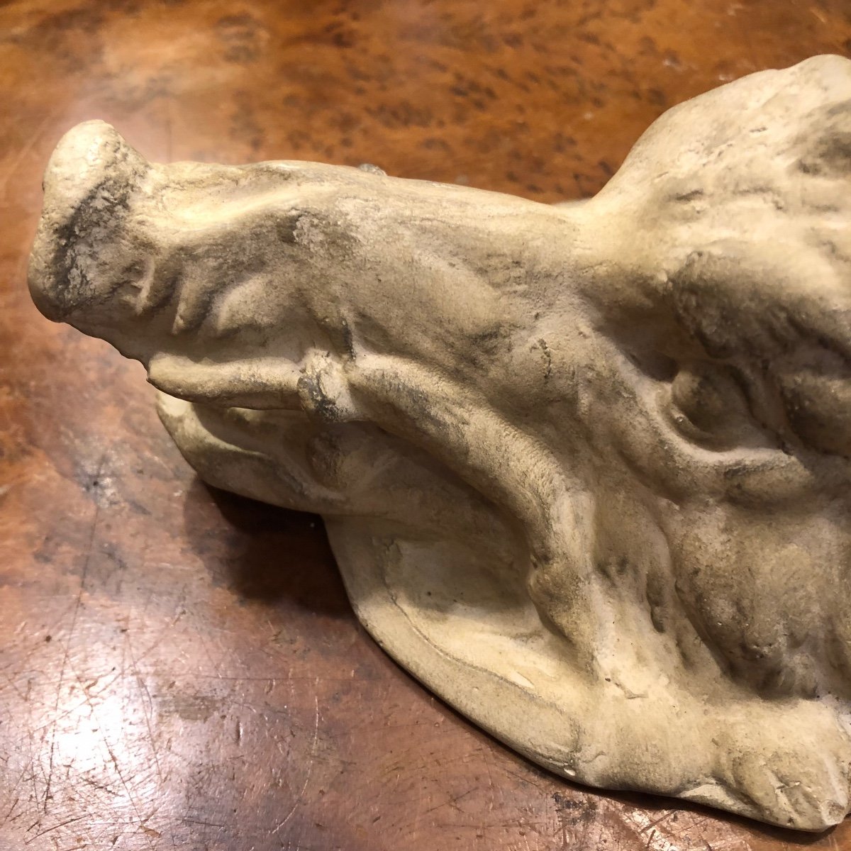 Wild Boar Hure Sculpture, Workshop Plaster, Malide, Circa 1900-photo-8