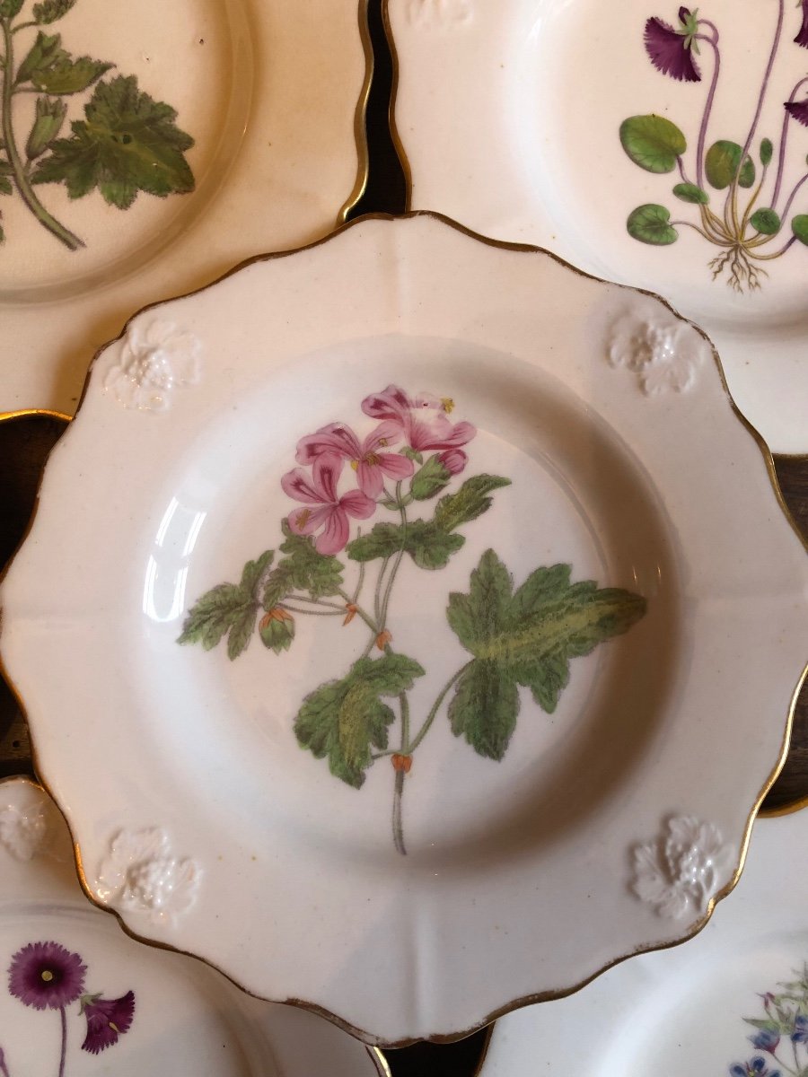 Set Of 8 Porcelain Plates, England, 9th Century -photo-3