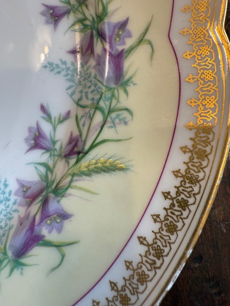 Série de 9 Assiettes en Porcelaine du Berry,Hache Pépin Lehalleur XIXeme Siècle -photo-2