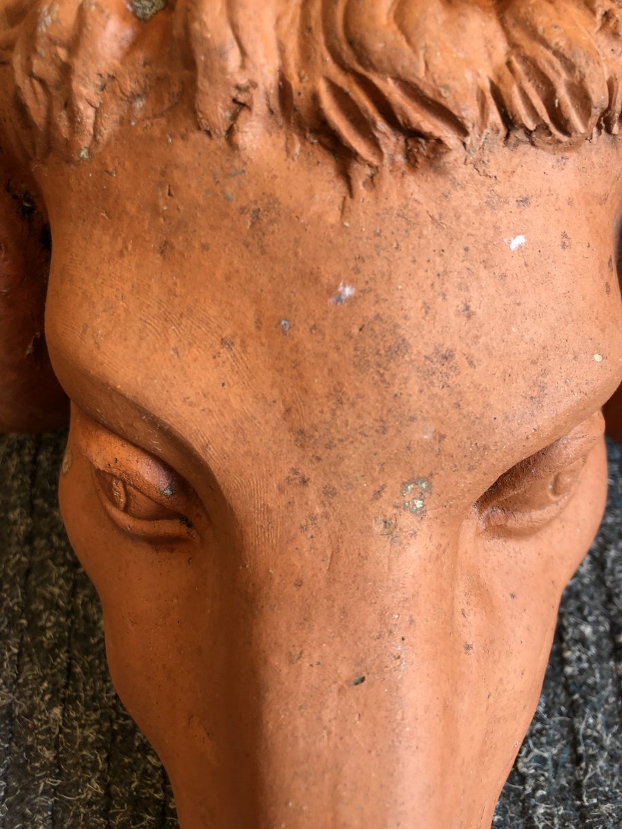 Aries Head, Terracotta, 20th Century-photo-8