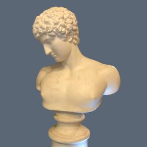 Sculpture, Large Plaster Bust, Greek God Ares, 20th Century 