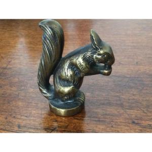 Bronze Squirrel