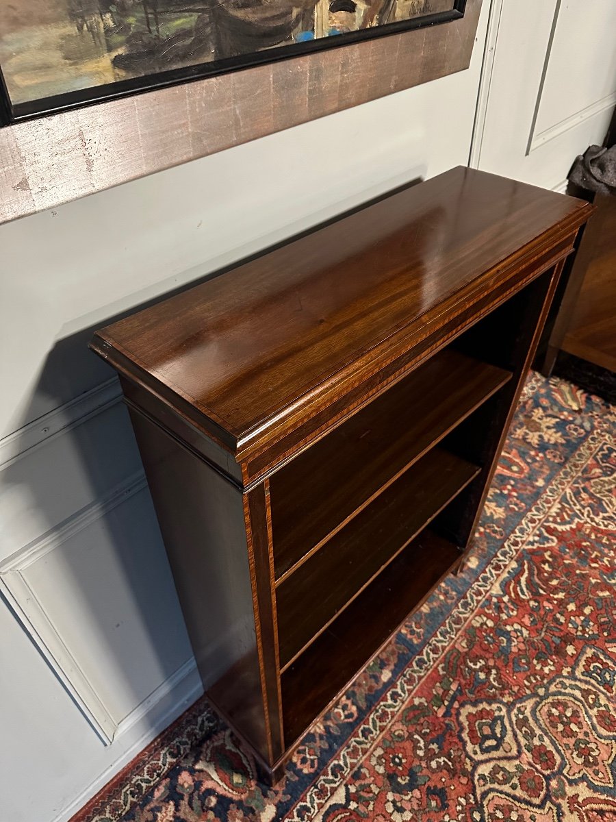 Mahogany Bookcase/library, Marquetry Fillets.-photo-4