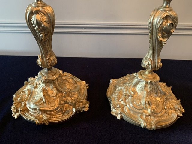 Pair Of Louis XV Style Butterfly And Insect Candlesticks-photo-6