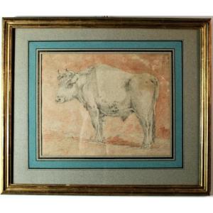 Flemish School, Entourage Of Paulus Potter - Bull At Dry Point And Red Stone XVIIth