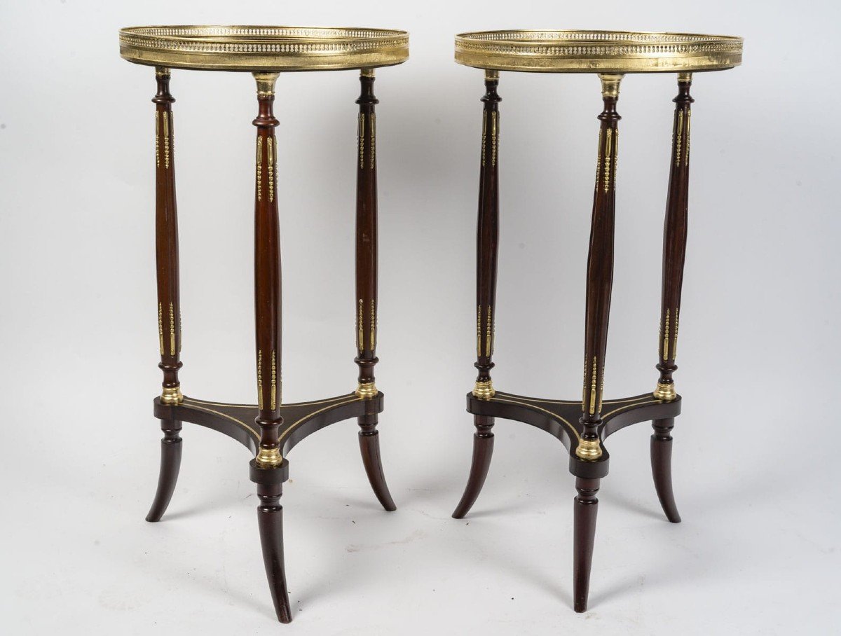 Pair Of 19th Century Columns, Napoleon III Period, In Mahogany And Gilt Bronze-photo-4