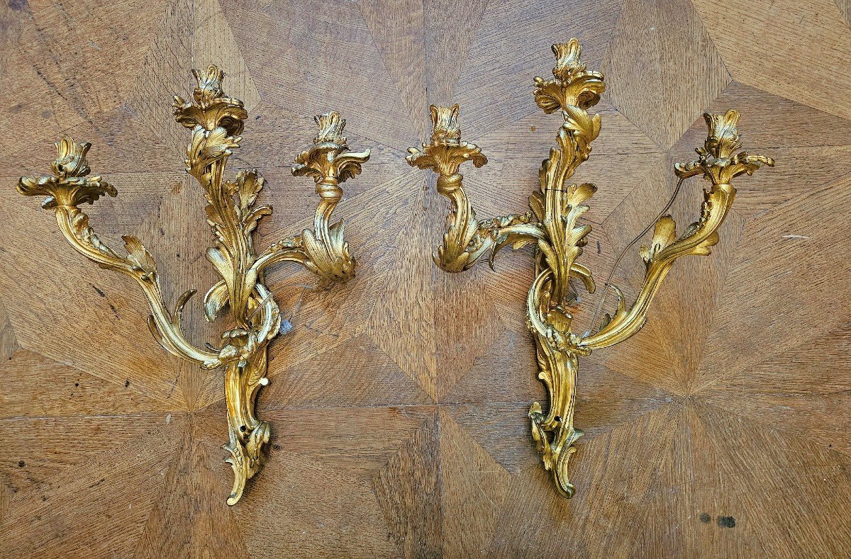 Louis XV Wall Lights 19th Century. H. 57 Cm (without Candles) Subsequently Electrified