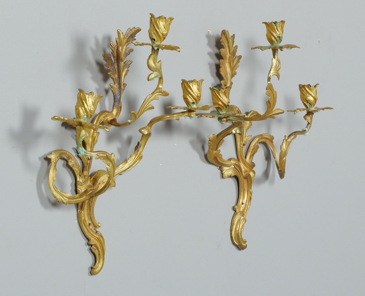 Louis XV Wall Lights 19th Century. H. 45 Cm-photo-4