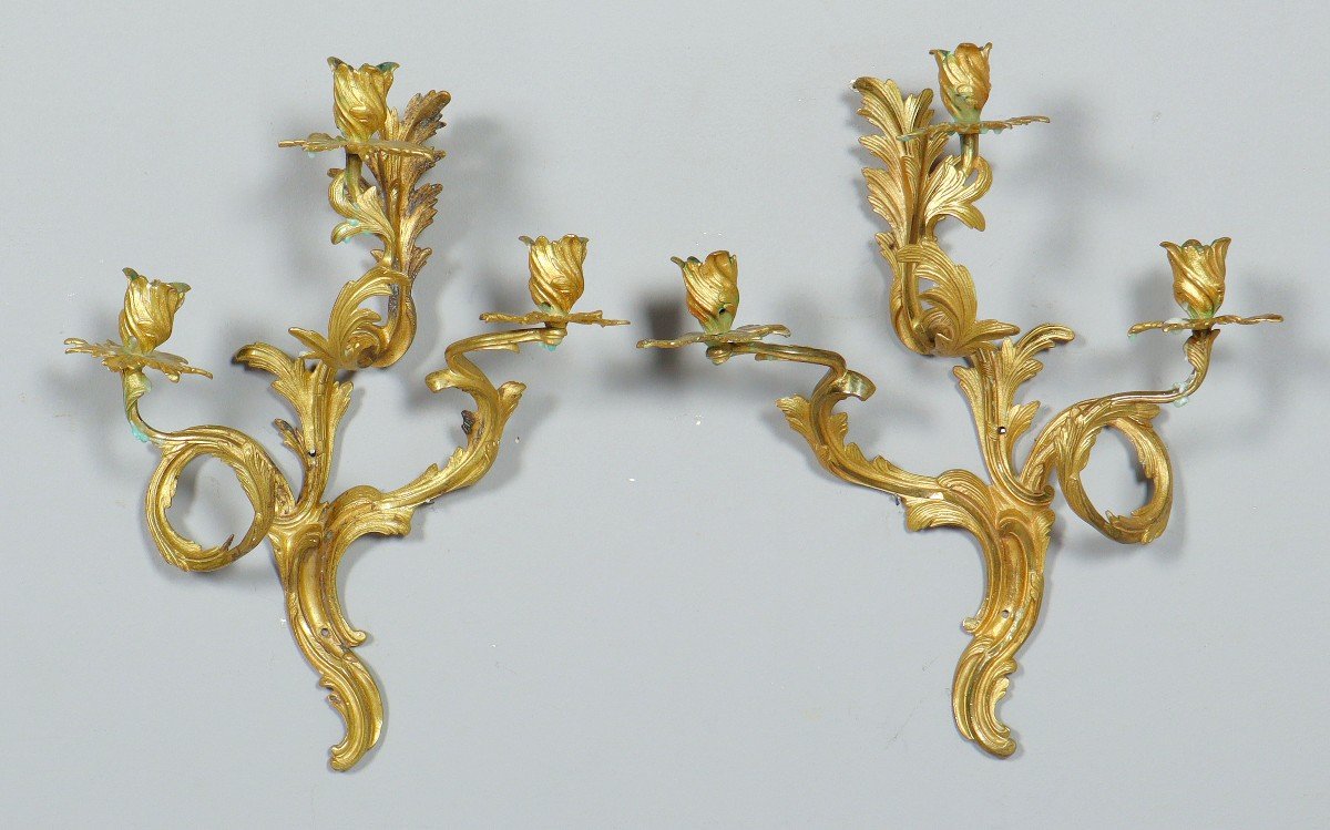 Louis XV Wall Lights 19th Century. H. 45 Cm