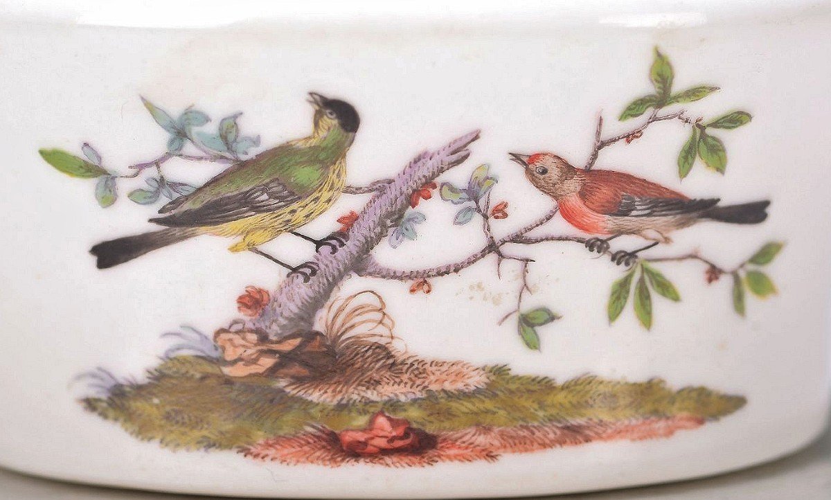 Ludwigsburg Porcelain Snuffbox Circa 1765 -photo-4