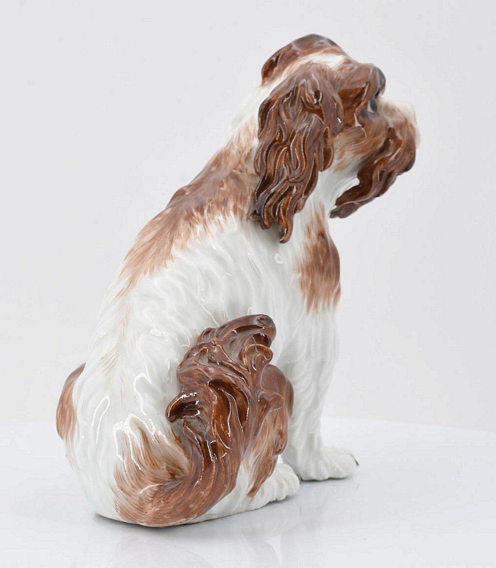 Meissen Porcelain Bologna Dog Model By Johann Joachim Kaendler Circa 1750 H. 15 Cm -photo-2