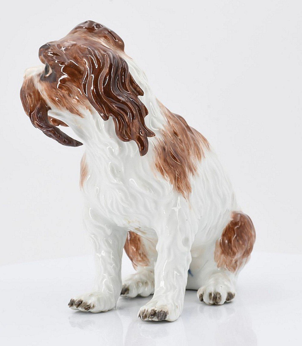 Meissen Porcelain Bologna Dog Model By Johann Joachim Kaendler Circa 1750 H. 15 Cm -photo-4