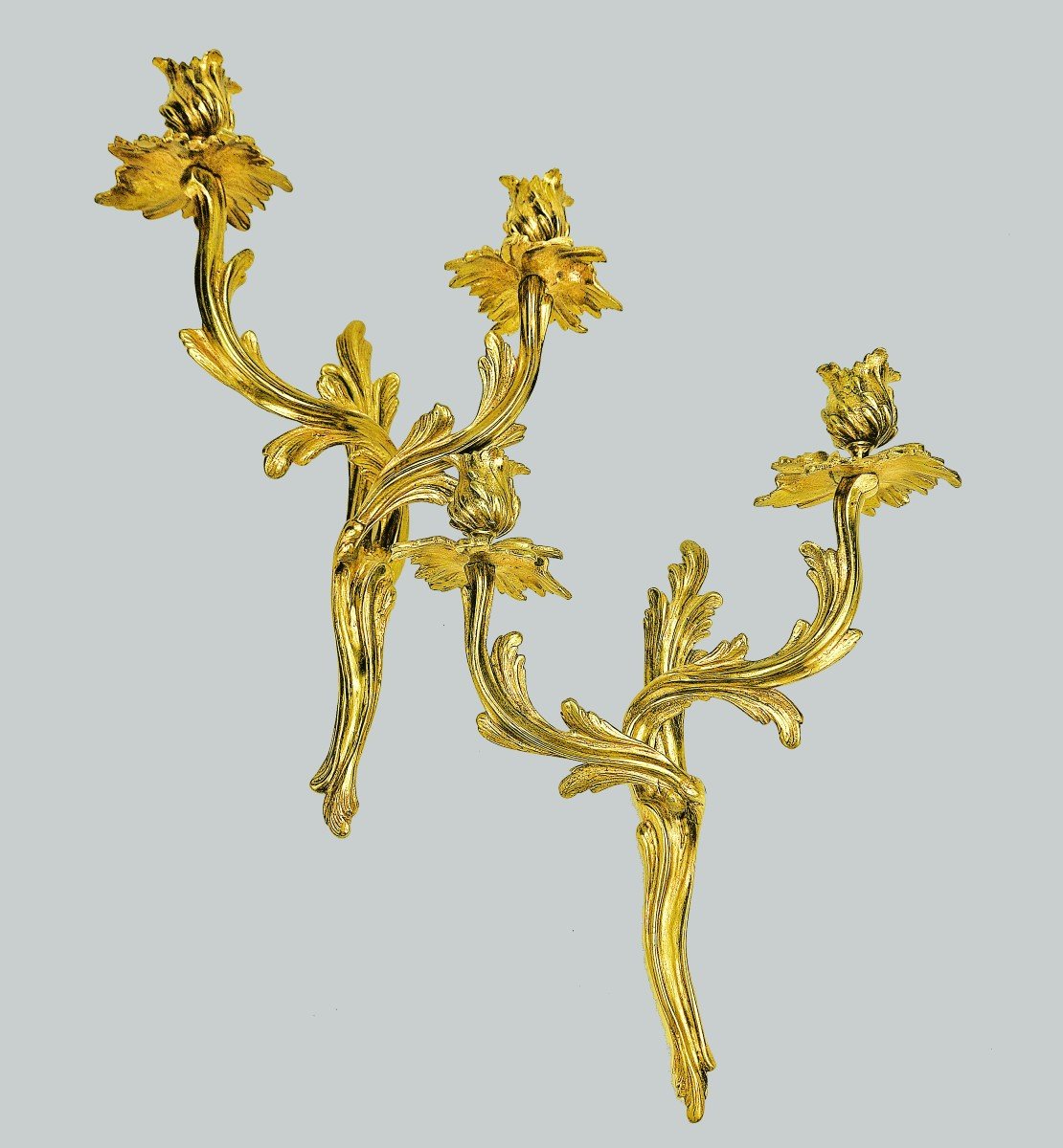 Appliques Louis XV. 19ème Siècle.  H. 39 Cm 