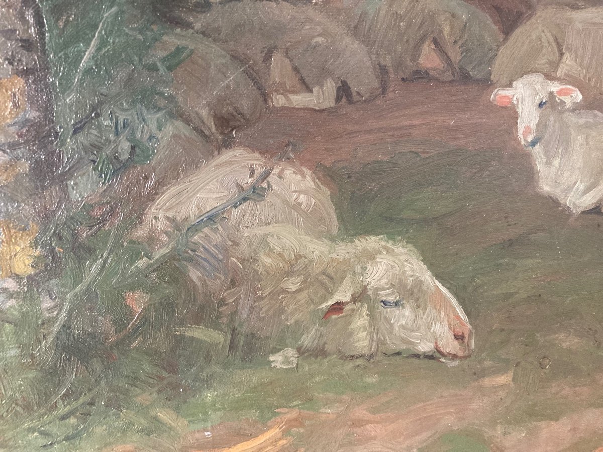 Sheep Resting Under The Trees. Ruggero Panerai. (1862-1923). Italian School.-photo-4