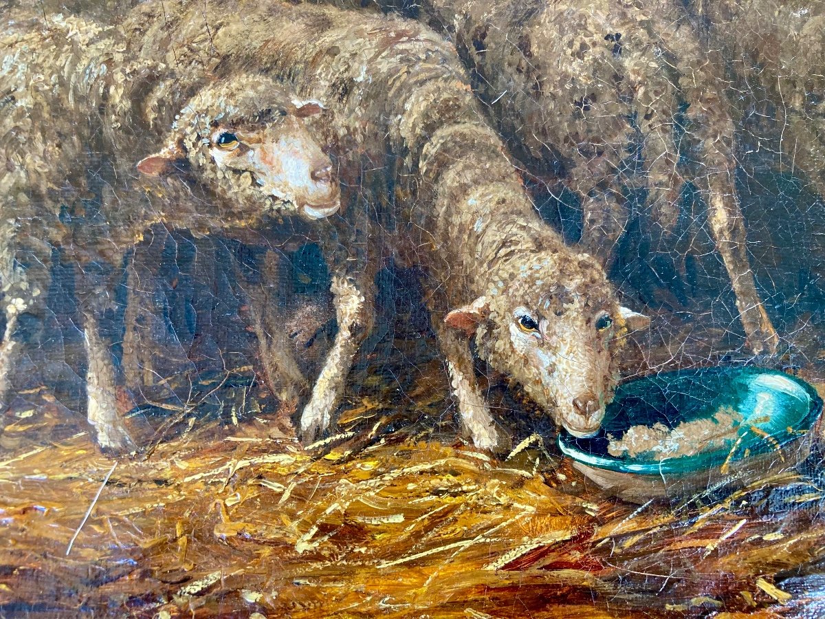 Moutons Dans La Bergerie. Toile Du XIXe Siècle. Signée. ( Illisible ).-photo-3