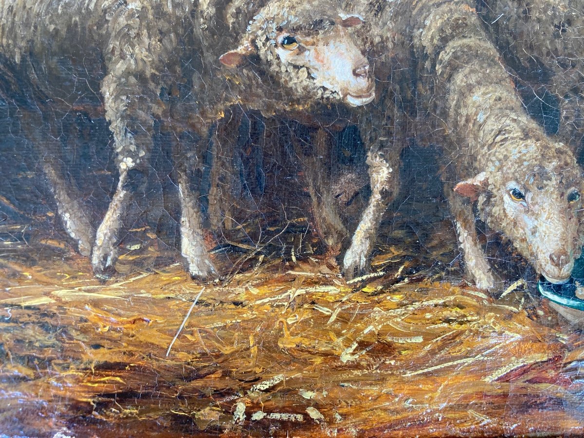 Moutons Dans La Bergerie. Toile Du XIXe Siècle. Signée. ( Illisible ).-photo-2