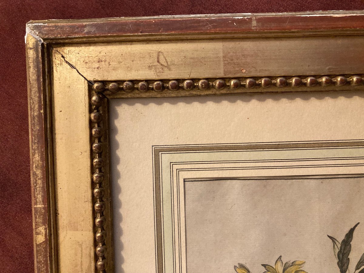 Pair Of 19th Century Louis XVI Style Gilded Wood And Stucco Frames. -photo-3