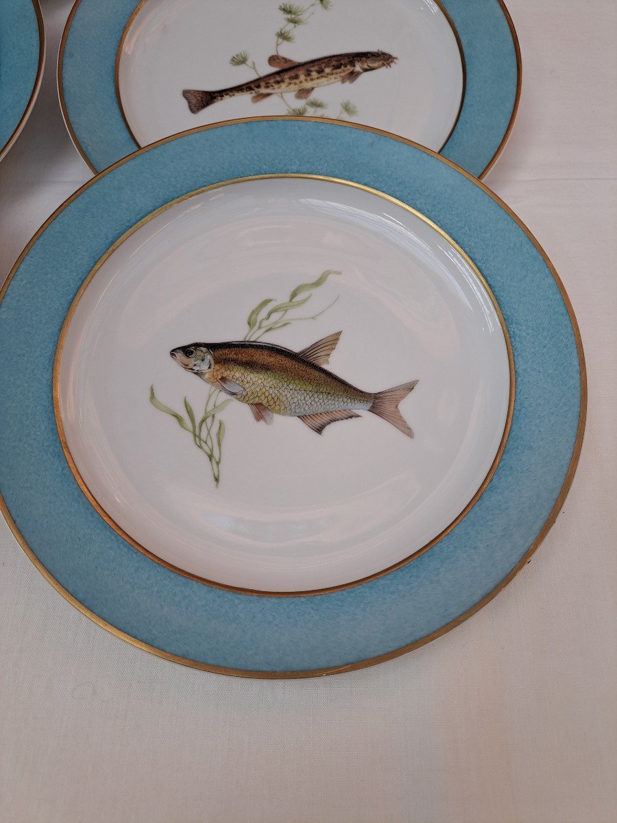 Assiettes A Poisson Limoges-photo-3