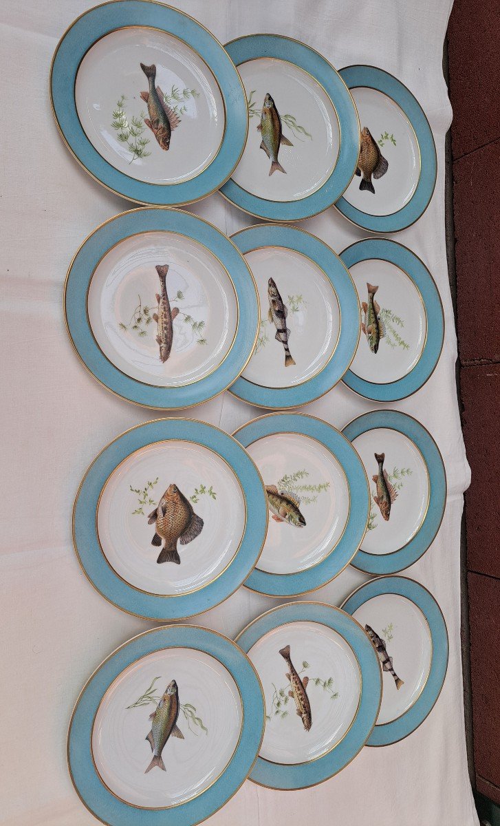 Assiettes A Poisson Limoges