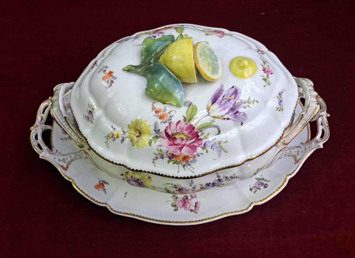 Rare Soupière En Porcelaine De Nymphenburg