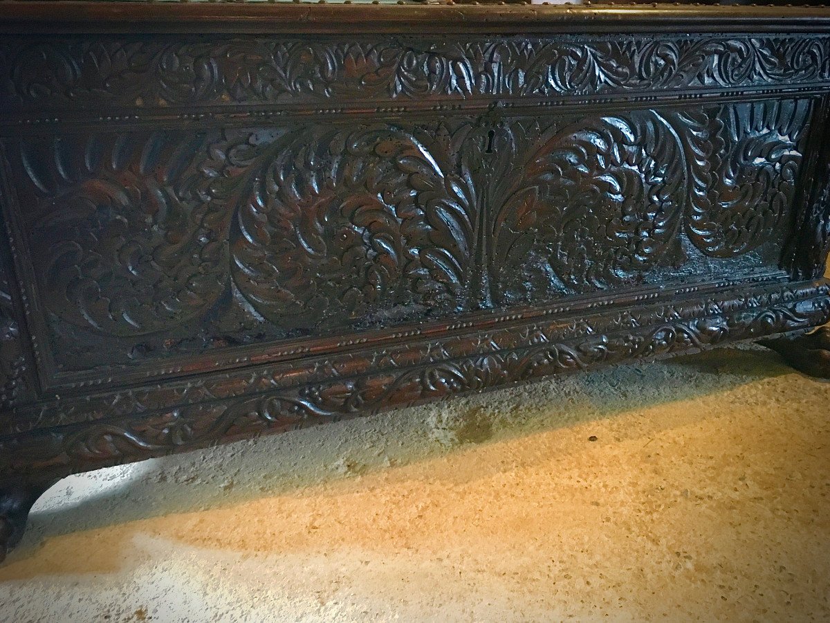 XVIth Century Cassone Chest In Walnut-photo-4