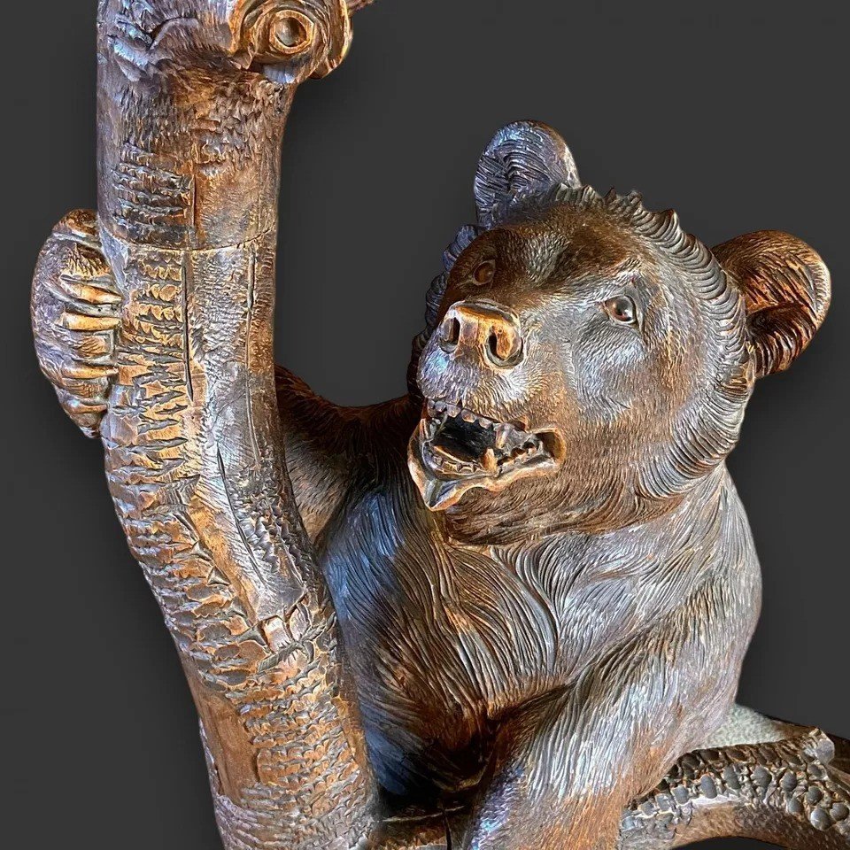 A Large Antique 'black Forest' Carved Wood Bear Hall Coat Stick Stand Circa 1880-photo-3