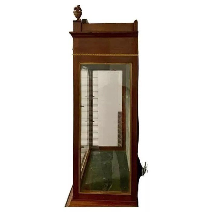 Vitrine En Bronze Doré, Mahogany Et Parqueterie Française Sur Pied-photo-3