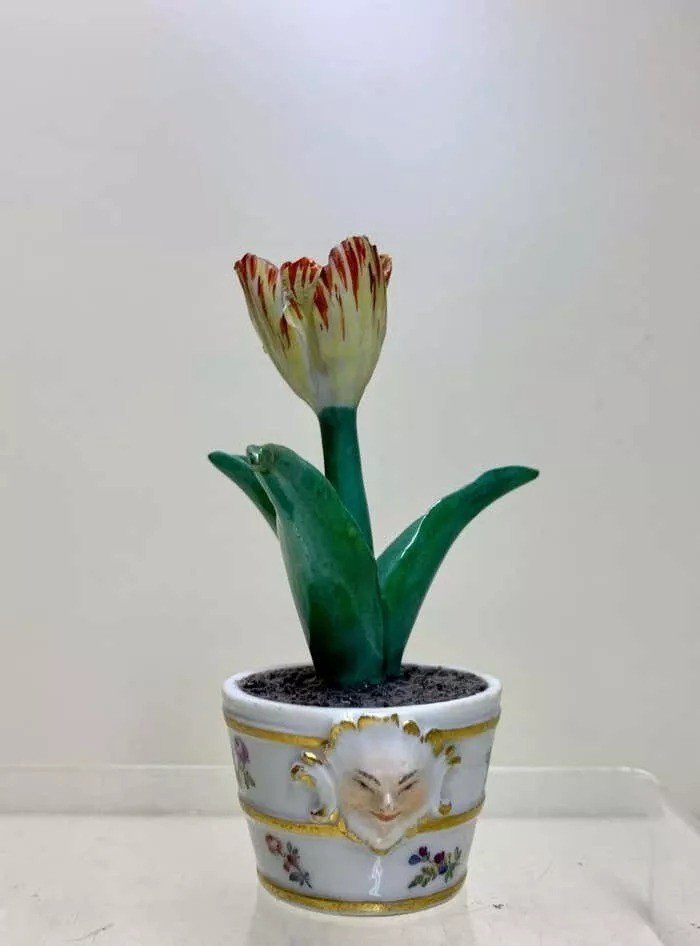 Rare Tulipe En Baignoire Meissen Marcolini En Porcelaine, Circa 1780-photo-2